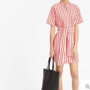 Everlane Belted Collarless Shirtdress